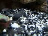 100_2538.jpg