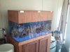 2011-03-26_14.36.47.jpg