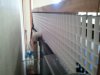 2011-03-26_14.37.43.jpg