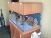 2011-03-26_14.38.49.jpg