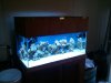 2011-03-26_18.52.55.jpg