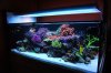 ati tank with 10 bulbs.jpg