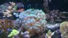 100_0012.jpg