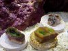IMG_20110327_153456.jpg