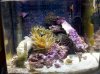 IMG_20110327_153028.jpg