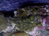 IMG_20110327_153232.jpg