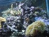 DSCF0496.jpg