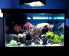 fts.jpg