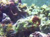 Picture 1006.jpg