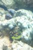 ImageUploadedByTapatalk1301864485.794159.jpg