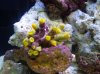 DSCN1268.jpg