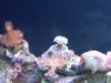 DSCN1269.jpg