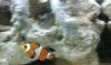 IMAG0065.jpg