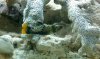 IMAG0066.jpg