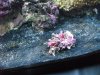 DSCF0512.jpg