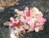 DSCF0513.jpg