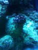 ImageUploadedByTapatalk1303020104.928537.jpg