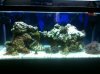ImageUploadedByTapatalk1303182482.071820.jpg