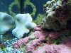 100_2567.jpg
