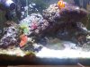 IMG00286-20110417-1227.jpg