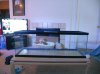 60 gallon 007.JPG