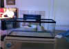 60 gallon 009.JPG