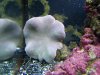 100_2566.jpg