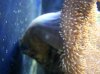 100_2569.jpg
