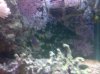 South_Coast-20110423-00158.jpg