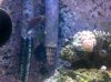 South_Coast-20110423-00151.jpg