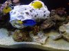 DSCN1277.jpg