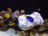 DSCN1278.jpg
