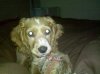 uploadfromtaptalk1304220906253.jpg