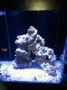 fish tank 001.jpg
