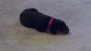 2011-04-30_16-32-21_905.jpg