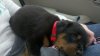 2011-04-30_12-55-35_414.jpg