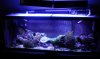 DSC00723.jpg