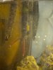 sump2.jpg