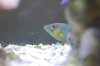 DSC_3166.jpg