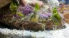 2011-04-19_21-19-58_50.jpg