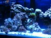 ImageUploadedByTapatalk1305079452.954062.jpg