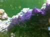 ImageUploadedByTapatalk1305156713.396246.jpg