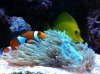 ImageUploadedByTapatalk1305416663.255396.jpg