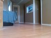 IMG02257-20110514-0932.jpg