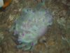 100_0049.jpg