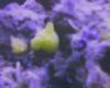 yellow sponge2.jpg