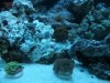 nano update 041.JPG