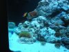 nano update 034.JPG