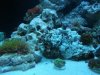 nano update 042.JPG