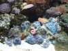 58 gal.jpg